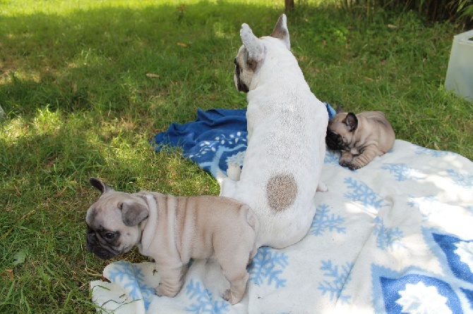 Des Joyaux De Bel Castel - Photo des bébés