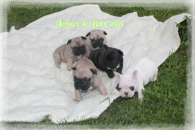 Des Joyaux De Bel Castel - Premiére sortie au jardin