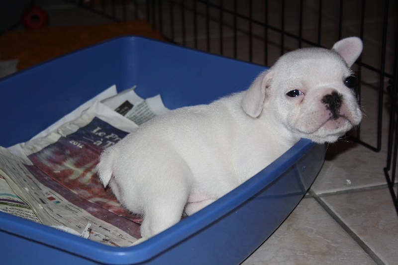 Bébé 2012